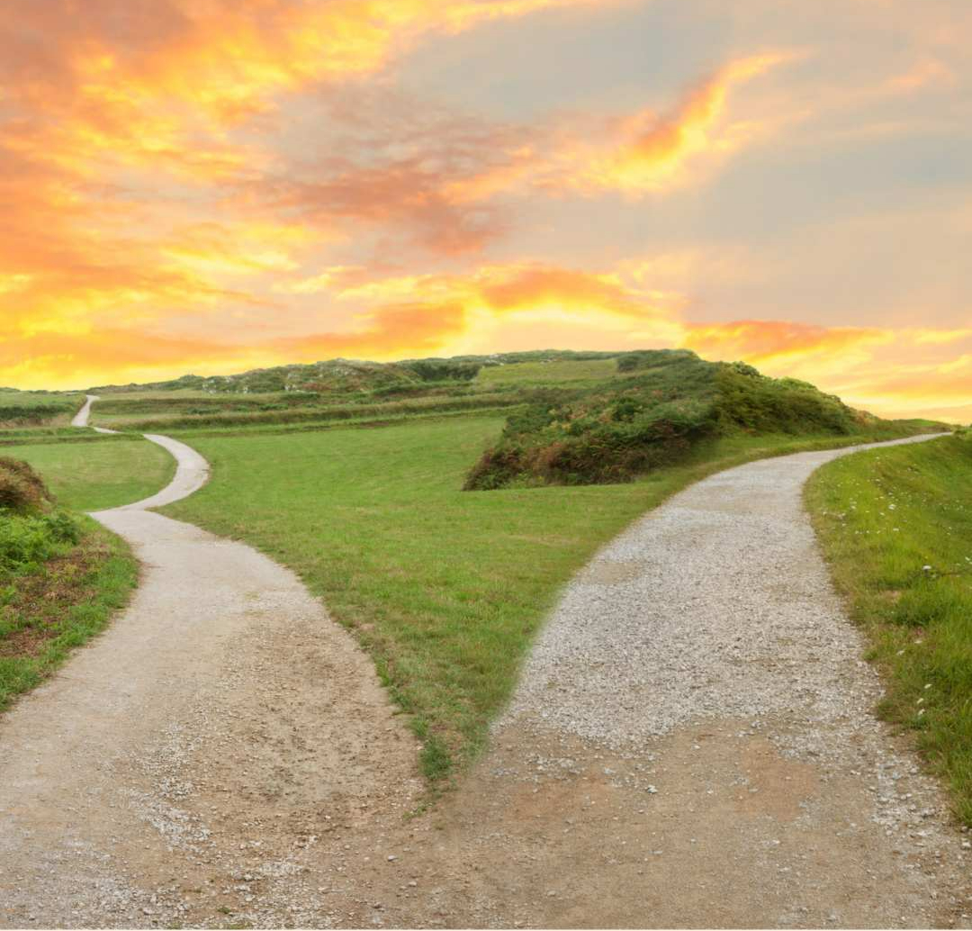 Fork in the road at sunrise, symbolizing mindful choices and spiritual growth with My Healing Suite.