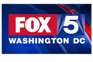 Fox removebg preview